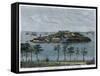 View of the Isle of Serpents, in the Bay of Rio De Janeiro, Brazil, C1880-null-Framed Stretched Canvas