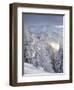 View of the Kreuzkogel to the Laderdinger Gamskarspitz, Salzburg, Austria-Rainer Mirau-Framed Photographic Print