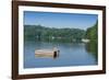 View of the Lake Muskoka, Ontario, Canada-null-Framed Photographic Print