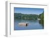 View of the Lake Muskoka, Ontario, Canada-null-Framed Photographic Print
