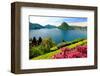 View of the Lake with Monte San Salvatore Mountain and the District of Paradiso, City of Lugano-null-Framed Premium Giclee Print