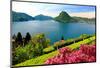 View of the Lake with Monte San Salvatore Mountain and the District of Paradiso, City of Lugano-null-Mounted Art Print