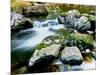 View of the Little Carp River, Porcupine Mountains State Park, Upper Peninsula, Michigan, USA-null-Mounted Photographic Print