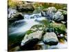 View of the Little Carp River, Porcupine Mountains State Park, Upper Peninsula, Michigan, USA-null-Stretched Canvas