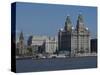 View of the Liverpool Skyline and the Liver Building, from the Mersey Ferry-Ethel Davies-Stretched Canvas