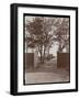 View of the Main House from the Stable Gates, on F.G. Bourne's Estate at Oa-Byron Company-Framed Giclee Print