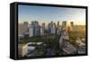 View of the Makati District in Manila at Sunrise, Philippines, Southeast Asia, Asia-Andrew Sproule-Framed Stretched Canvas