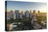 View of the Makati District in Manila at Sunrise, Philippines, Southeast Asia, Asia-Andrew Sproule-Stretched Canvas