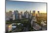 View of the Makati District in Manila at Sunrise, Philippines, Southeast Asia, Asia-Andrew Sproule-Mounted Photographic Print