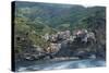 View of the Manarola, Riomaggiore, La Spezia, Liguria, Italy-null-Stretched Canvas