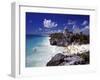 View of the Mayan site of Tulum, Yucatan, Mexico-Greg Johnston-Framed Premium Photographic Print