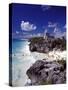 View of the Mayan site of Tulum, Yucatan, Mexico-Greg Johnston-Stretched Canvas