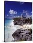 View of the Mayan site of Tulum, Yucatan, Mexico-Greg Johnston-Stretched Canvas