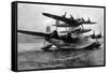 View of the Mayo Composite Plane MAIA-Lantern Press-Framed Stretched Canvas