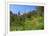 View of the Medieval Old Town of Cervo, Province of Imperia, Liguria, Italy-null-Framed Premium Giclee Print