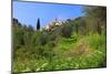 View of the Medieval Old Town of Cervo, Province of Imperia, Liguria, Italy-null-Mounted Art Print