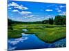 View of the Middle Branch Moose River, Adirondack Mountains, New York State, USA-null-Mounted Photographic Print