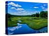 View of the Middle Branch Moose River, Adirondack Mountains, New York State, USA-null-Stretched Canvas