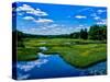 View of the Middle Branch Moose River, Adirondack Mountains, New York State, USA-null-Stretched Canvas