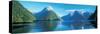 View of the Milford Sound, Fiordland National Park, South Island New Zealand, New Zealand-null-Stretched Canvas