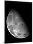 View of the Moon's North Pole-Stocktrek Images-Mounted Photographic Print