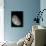View of the Moon's North Pole-Stocktrek Images-Photographic Print displayed on a wall