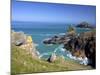 View of the Mouls Off Rumps Point, Pentire Headland, Polzeath, North Cornwall, England, Uk-Peter Barritt-Mounted Photographic Print