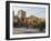 View of the Municipal Theatre, City of Sao Paulo, State of Sao Paulo, Brazil, South America-Karol Kozlowski-Framed Photographic Print