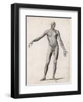 View of the Muscles in the Human Body-null-Framed Art Print