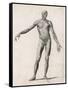 View of the Muscles in the Human Body-null-Framed Stretched Canvas