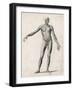 View of the Muscles in the Human Body-null-Framed Art Print