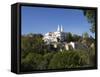 View of the National Palace with its conical towers, Sintra, near Lisbon, Portugal, Europe-Jean Brooks-Framed Stretched Canvas