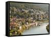 View of the Neckar River and Neckarsteinach from Hinterburg Castle, Hesse, Germany, Europe-Michael DeFreitas-Framed Stretched Canvas