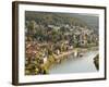 View of the Neckar River and Neckarsteinach from Hinterburg Castle, Hesse, Germany, Europe-Michael DeFreitas-Framed Photographic Print