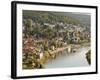 View of the Neckar River and Neckarsteinach from Hinterburg Castle, Hesse, Germany, Europe-Michael DeFreitas-Framed Photographic Print