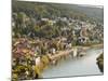 View of the Neckar River and Neckarsteinach from Hinterburg Castle, Hesse, Germany, Europe-Michael DeFreitas-Mounted Photographic Print