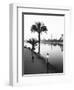 View of the Nile River, Cairo, Egypt-Walter Bibikow-Framed Photographic Print