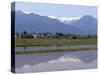 View of the Northern Alps Reflected in a Flooded Rice Paddy, Nagano Prefecture, Japan-null-Stretched Canvas