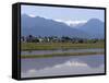 View of the Northern Alps Reflected in a Flooded Rice Paddy, Nagano Prefecture, Japan-null-Framed Stretched Canvas