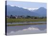 View of the Northern Alps Reflected in a Flooded Rice Paddy, Nagano Prefecture, Japan-null-Stretched Canvas