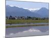 View of the Northern Alps Reflected in a Flooded Rice Paddy, Nagano Prefecture, Japan-null-Mounted Photographic Print