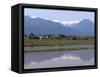 View of the Northern Alps Reflected in a Flooded Rice Paddy, Nagano Prefecture, Japan-null-Framed Stretched Canvas