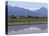 View of the Northern Alps Reflected in a Flooded Rice Paddy, Nagano Prefecture, Japan-null-Stretched Canvas