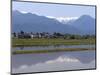 View of the Northern Alps Reflected in a Flooded Rice Paddy, Nagano Prefecture, Japan-null-Mounted Photographic Print