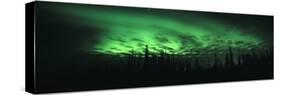 View of the Northern Lights, Aurora Borealis, Fairbanks, Alaska, USA-null-Stretched Canvas