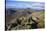 View of the Northern Mountains from the top of Goatfell, Isle of Arran, North Ayrshire, Scotland, U-Gary Cook-Stretched Canvas