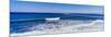 View of the Ocean Beach Pier, San Diego, California, USA-null-Mounted Photographic Print