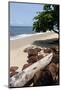 View of the Ocean on the Gulf of Guinea, Libreville, Gabon-Alida Latham-Mounted Photographic Print