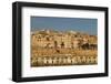 View of the Old Town from the Grand Harbour in the Golden Early Morning, Valletta, Malta, Europe-Eleanor Scriven-Framed Photographic Print