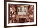 Brown Frame